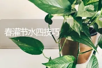 春灌节水四技巧