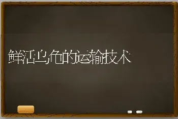 鲜活乌龟的运输技术