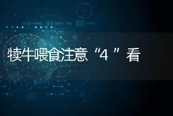 犊牛喂食注意“4”看