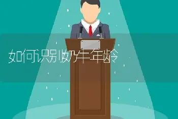 如何识别奶牛年龄