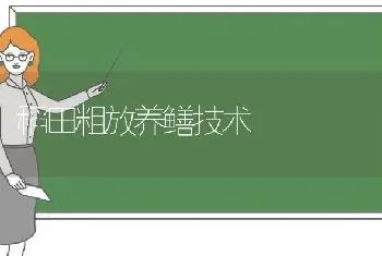 稻田粗放养鳝技术