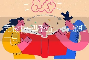 无限生长型番茄---金棚一号