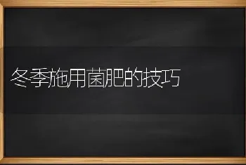 生姜茎基腐病如何防治