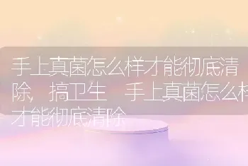 手上真菌怎么样才能彻底清除