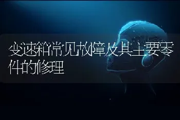 变速箱常见故障及其主要零件的修理