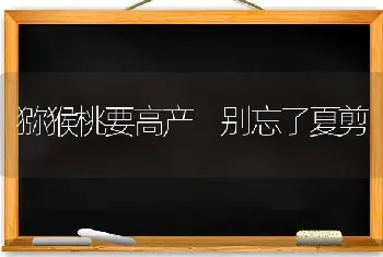 猕猴桃要高产 别忘了夏剪