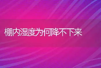 棚内湿度为何降不下来