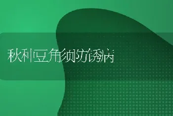 秋种豆角须防锈病