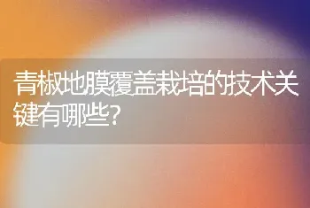 青椒地膜覆盖栽培的技术关键有哪些?