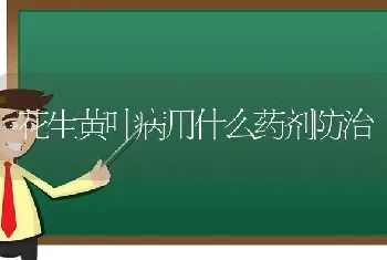 花生黄叶病用什么药剂防治