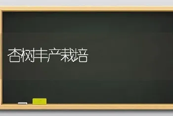 杏树丰产栽培