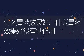 什么胃药效果好,什么胃药效果好没有副作用