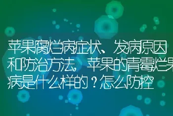 苹果腐烂病症状、发病原因和防治方法