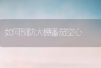 如何预防大棚番茄空心