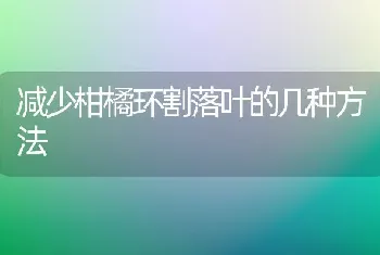 减少柑橘环割落叶的几种方法