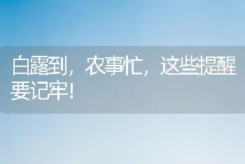 白露到,农事忙,这些提醒要记牢！