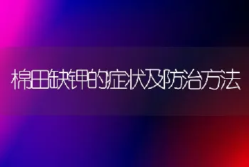 棉田缺钾的症状及防治方法