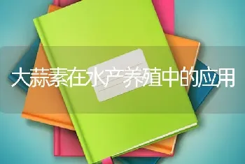 大蒜素在水产养殖中的应用