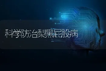 科学防治梨黑屁股病