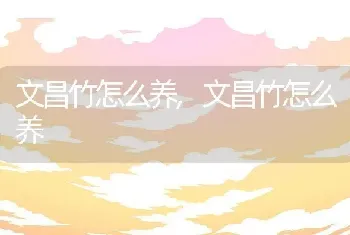 文昌竹怎么养