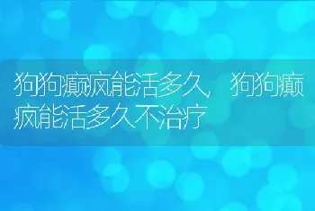 狗狗癫疯能活多久,狗狗癫疯能活多久不治疗