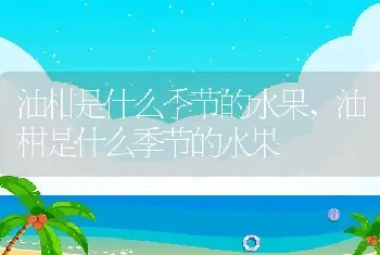 油柑是什么季节的水果