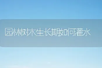 园林树木生长期如何灌水