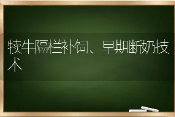 犊牛隔栏补饲、早期断奶技术