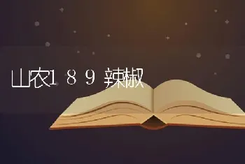 山农189辣椒