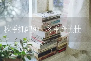 秋季抓配种 冬季产羔壮