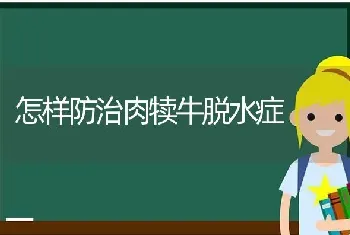 怎样防治肉犊牛脱水症