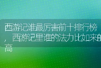 西游记谁最厉害前十排行榜