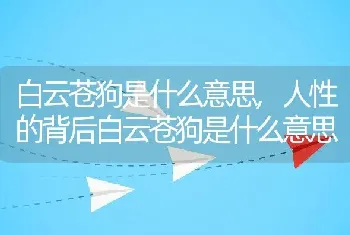 白云苍狗是什么意思,人性的背后白云苍狗是什么意思