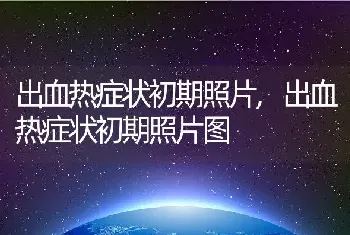 出血热症状初期照片,出血热症状初期照片图