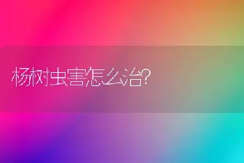 杨树虫害怎么治?