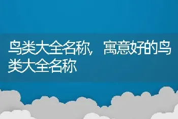 鸟类大全名称,寓意好的鸟类大全名称