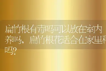 扁竹根有毒吗可以放在室内养吗