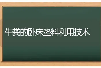 牛粪的卧床垫料利用技术