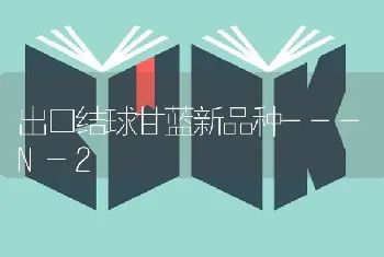 出口结球甘蓝新品种---N-2