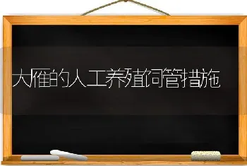 大雁的人工养殖饲管措施