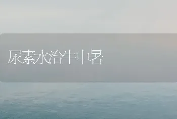 尿素水治牛中暑