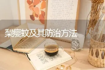 梨瘿蚊及其防治方法