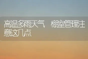 高温多雨天气 棚室管理注意这几点