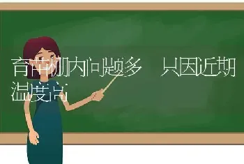 育苗棚内问题多 只因近期温度高