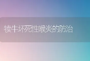 犊牛坏死性喉炎的防治