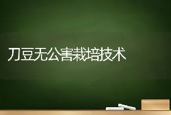 刀豆无公害栽培技术