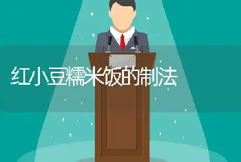 红小豆糯米饭的制法