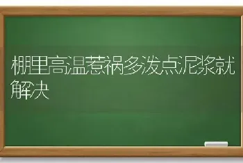 棚里高温惹祸多泼点泥浆就解决