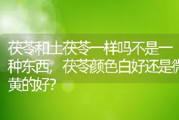 茯苓和土茯苓一样吗不是一种东西