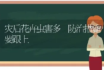 灾后花卉虫害多 防治措施要跟上